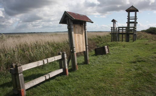 18_Kroku Lankos bok+telis.jpg